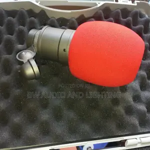 Studio Microphone Sponge Covers