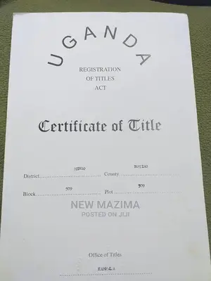 Very Prime 100 Ft X 100 Ft With Ready Title on Sale Kasanje