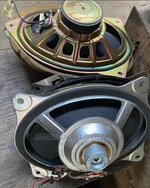 Oval Car Speakers