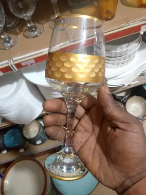 Durable Wine Glass