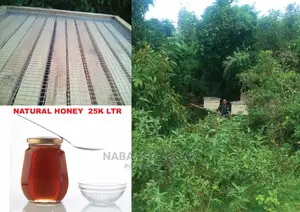 Natural Honey