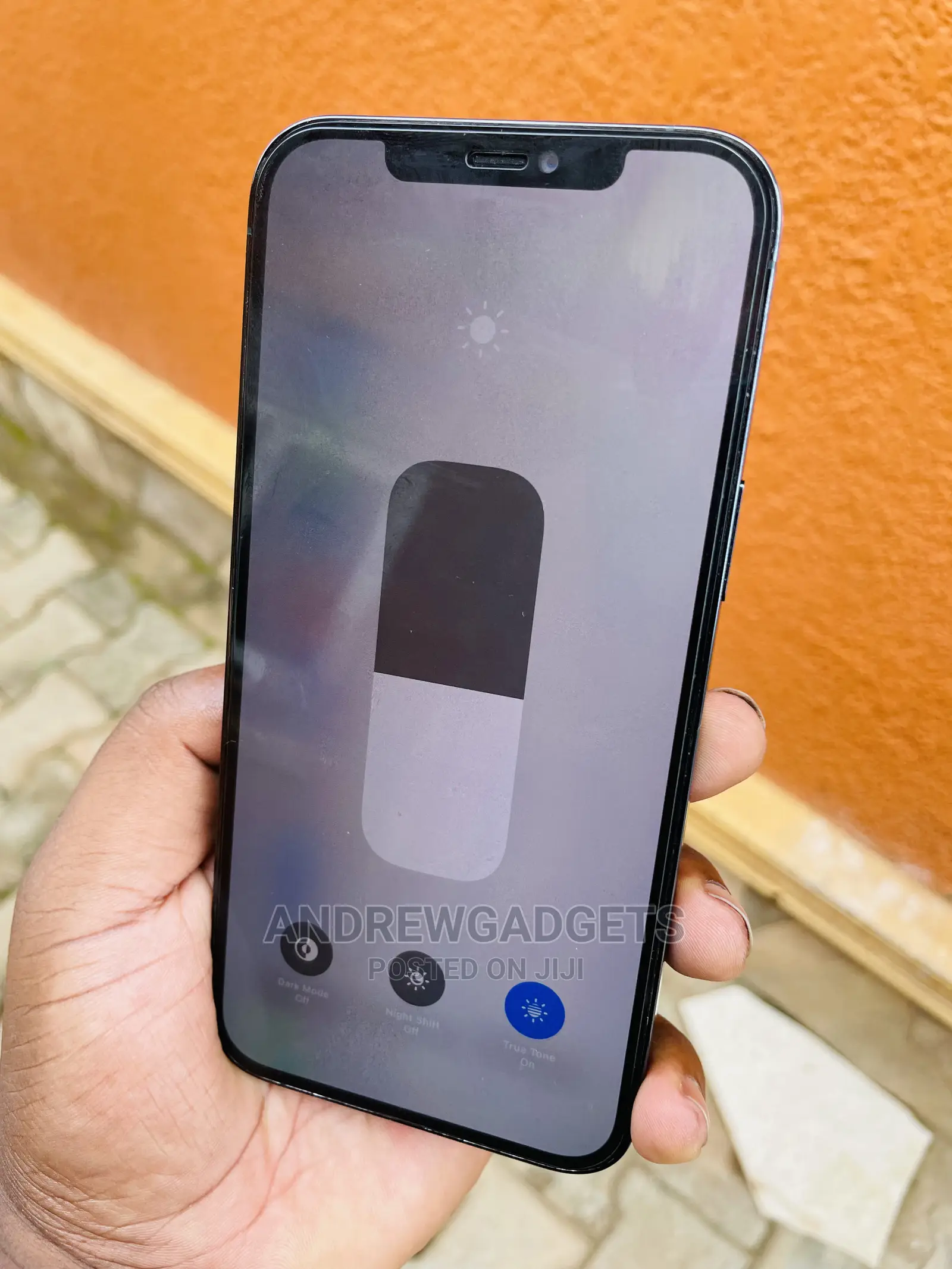 Apple iPhone 12 Pro Max 512 GB Blue