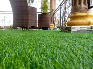 Grass Carpet Grass Carpet Grass Carpet Grass Carpet