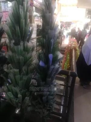 Christmas Trees