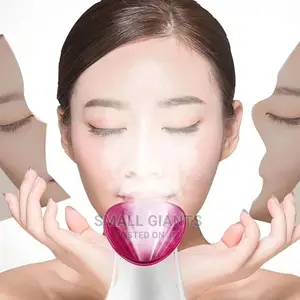 Phyopus Facial Steamer