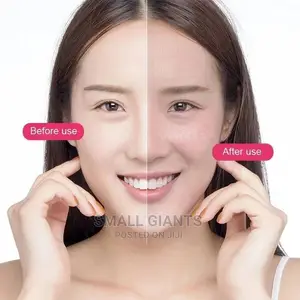 Phyopus Facial Steamer