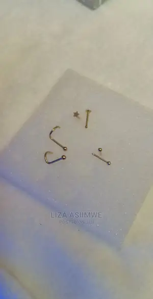 Quality Nose Pins Available