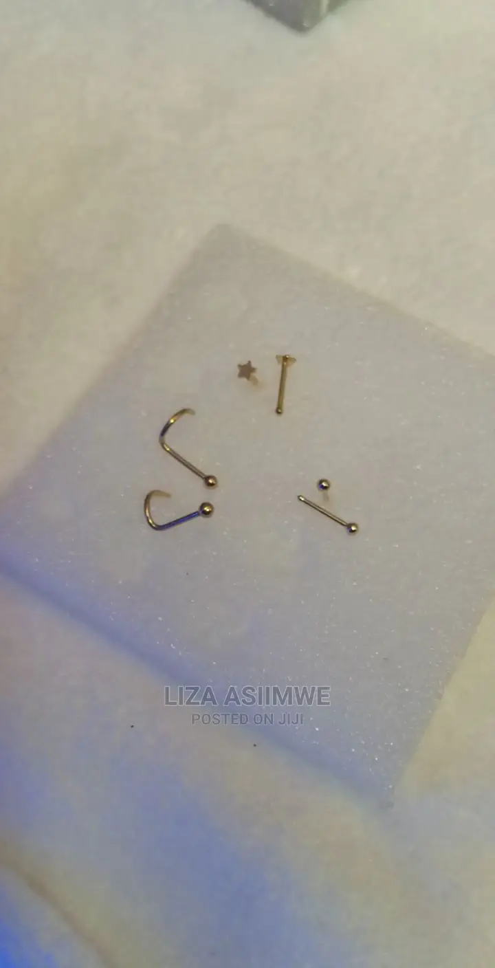 Quality Nose Pins Available