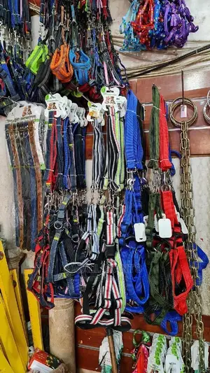Nylon Dog/Cat Leaches