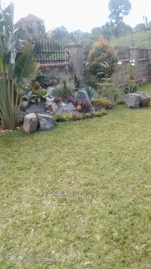 Compound Designing and Land Scarping Masters.