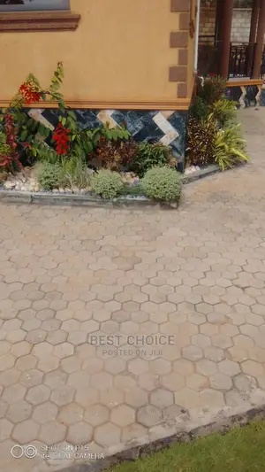 Compound Designing and Land Scarping Masters.