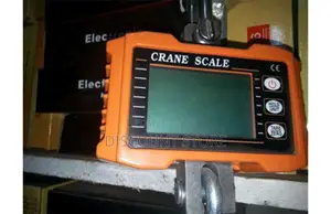 Crane Digital Weigh Scales for Commercial
