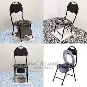 Adult Potty Cheap