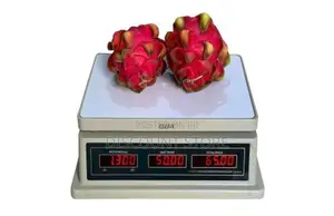 Company for Computing Weigh Scales.