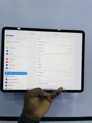Apple iPad Pro 12.9 (2020) 1 TB Gray