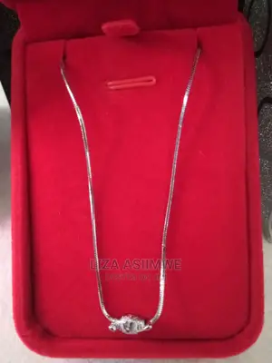 Simple Silver Necklaces Available With the Gift Box Its Self