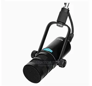 Alctron BC600 Dynamic Broadcasting Mic- Online Recording