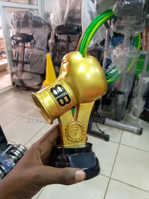 Boxing Golden Gloove