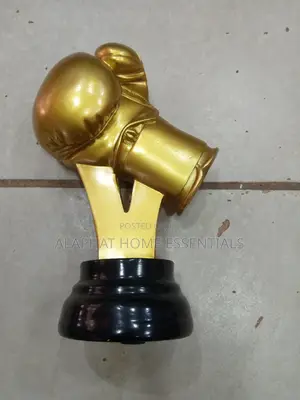 Boxing Golden Gloove