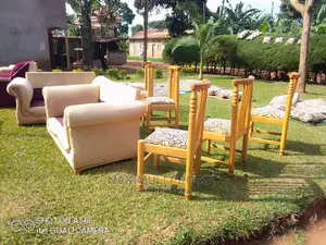 Dinning Chairs Cleaner