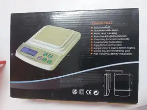 Electric Digital Weighing Scale
