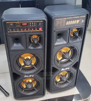 Ailipu Amplified Double Speaker