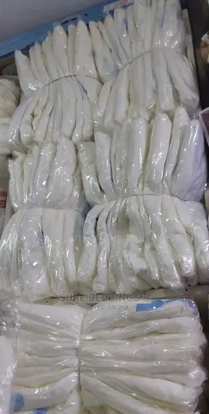 Ordinary Sqaure Mosquito Nets