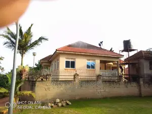 Roof Cleaning Services
