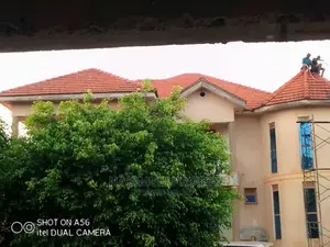 Roof Tile Cleaner