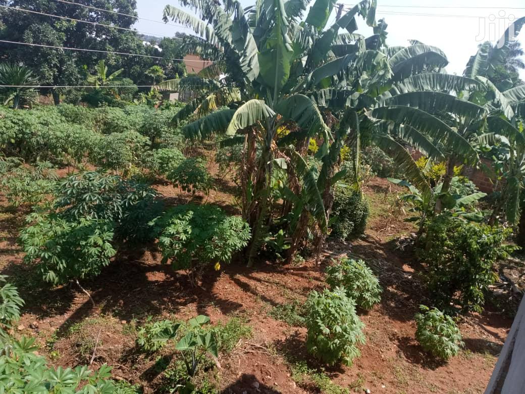 Another Hot Plot After Munyonyo on Ntebe Express