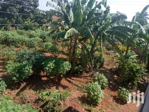 Another Hot Plot After Munyonyo on Ntebe Express