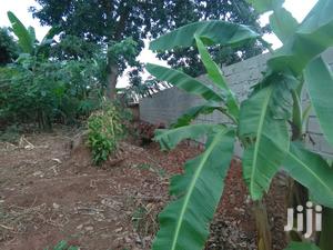 Another Hot Plot After Munyonyo on Ntebe Express