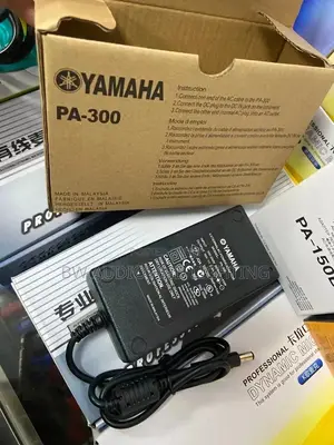 Yamaha Adapters 16v and 12v