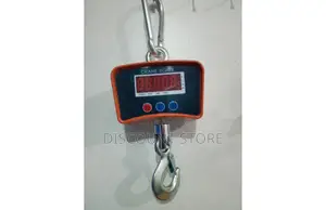 Reliable Professional Crane Weighing Equipment