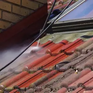 Professional Roof Cleaner