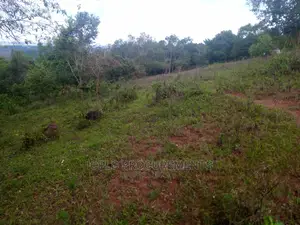 Kibaale 16 Square Miles (Mailo Land)