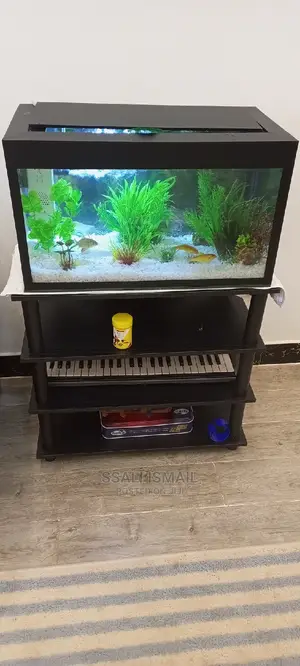 Portable Aquarium and Cheaper