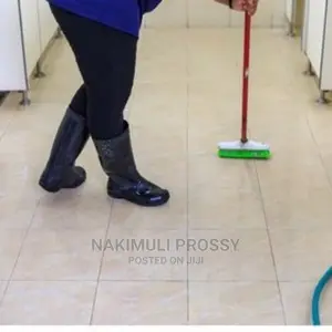 School Cleaners