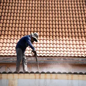 Roof Tile Cleaning