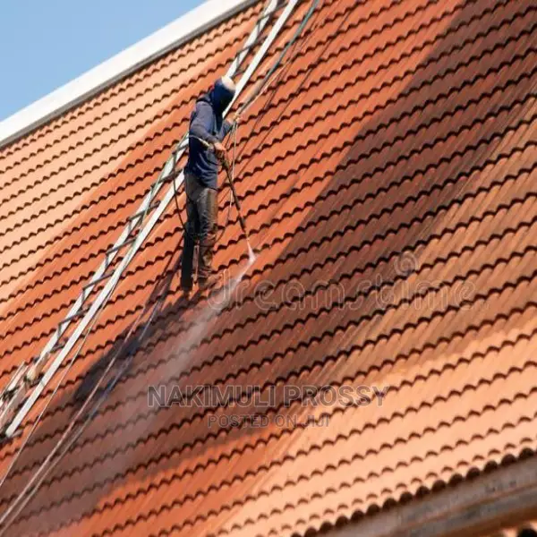 Roof Tile Cleaning and Moss Removal Services