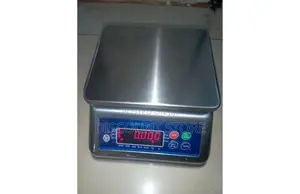 Stainless Waterproof Weighing Equipment