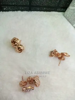 Simple Lady Ear Pins Available
