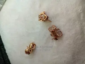 Simple Lady Earpins Available