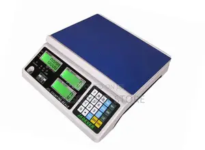 Shock Free Computing Weighing Equipment.