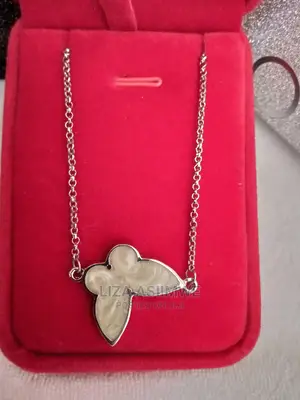 Super Unique Butterfly Necklace Available With the Gift Box
