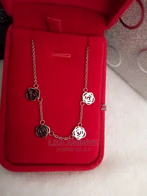 Classy Necklaces Available With the Box Its Self