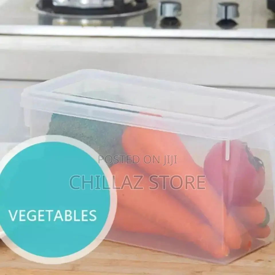 Fridge Storage Container