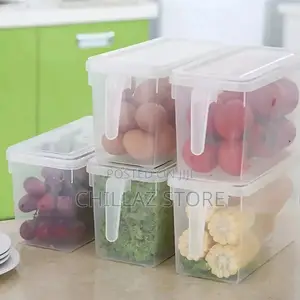 Fridge Storage Container