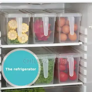 Fridge Storage Container