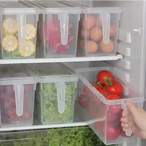 Fridge Storage Container